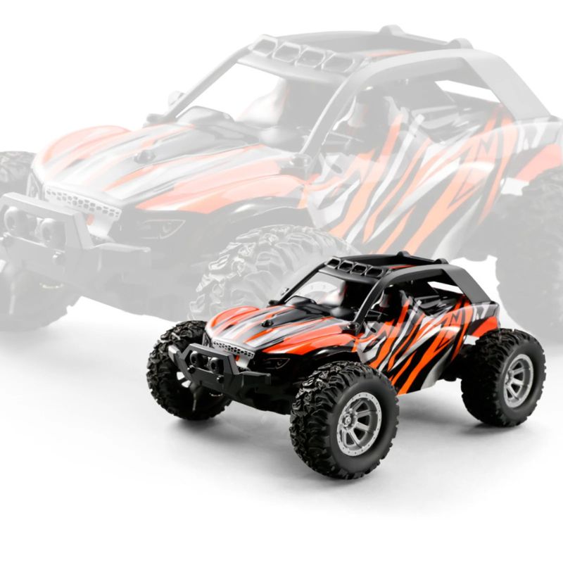 Mini RC Cars