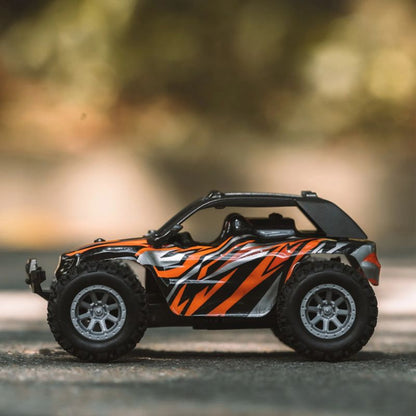 Mini RC Cars