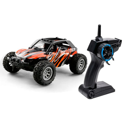 Mini RC Cars