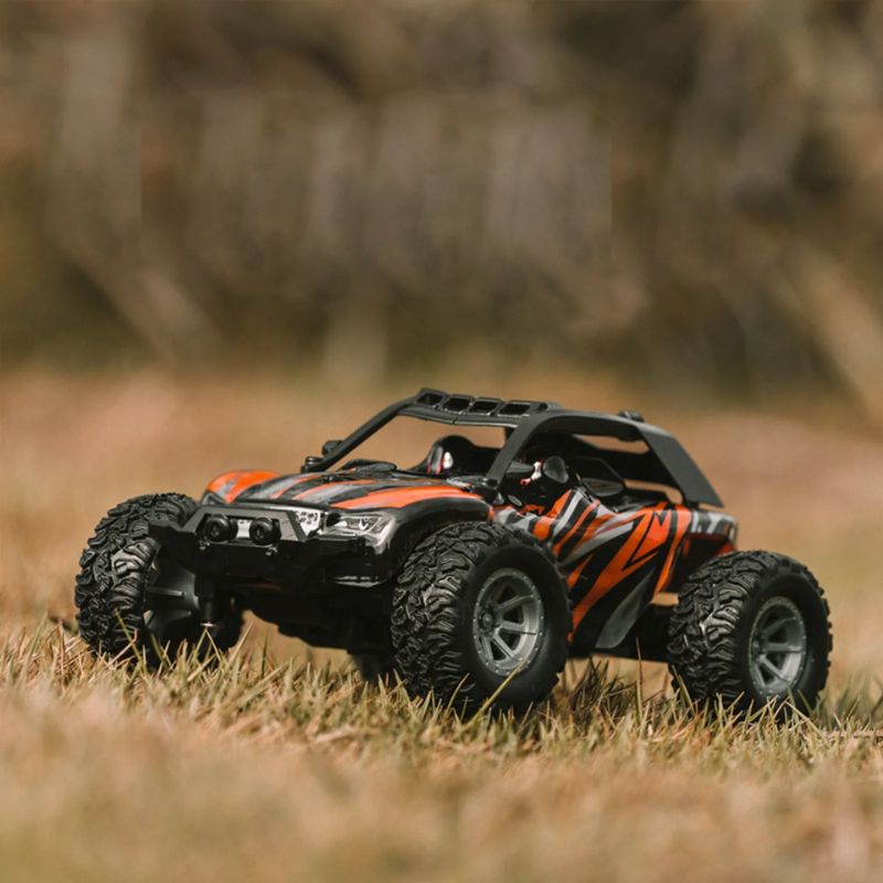 Mini RC Cars