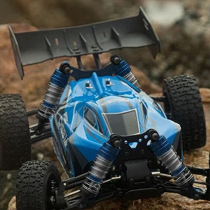 Speed Cheetah RC Car w/Brushless Motor